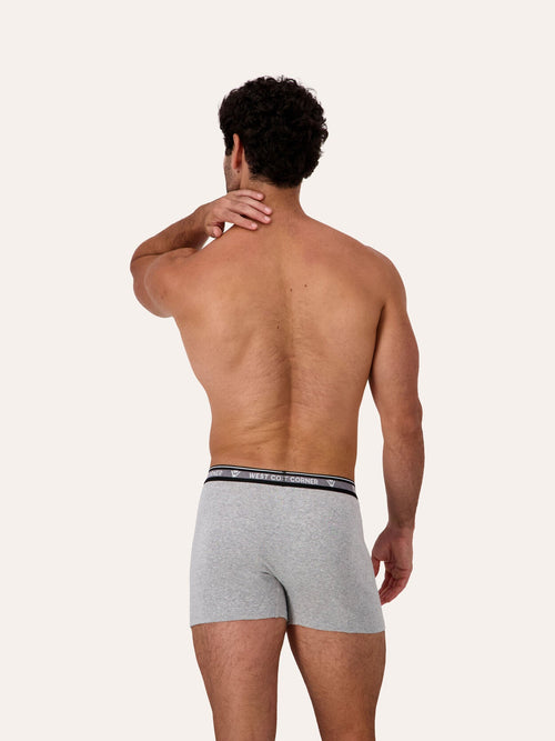West Corner boxer brief in gray melange — back, on model